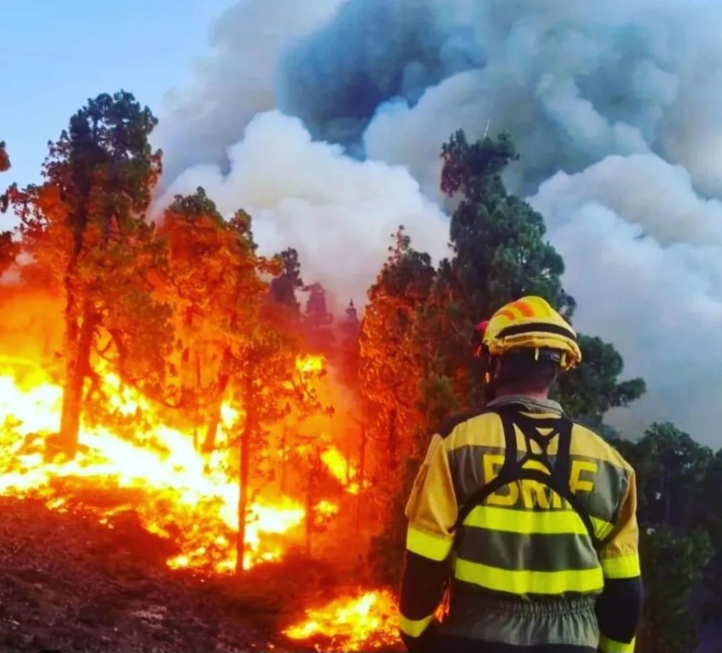Un devastador incendio azota La Palma - La Palma - TVT Seguros - Zurich Agency Corredores de Seguros - España